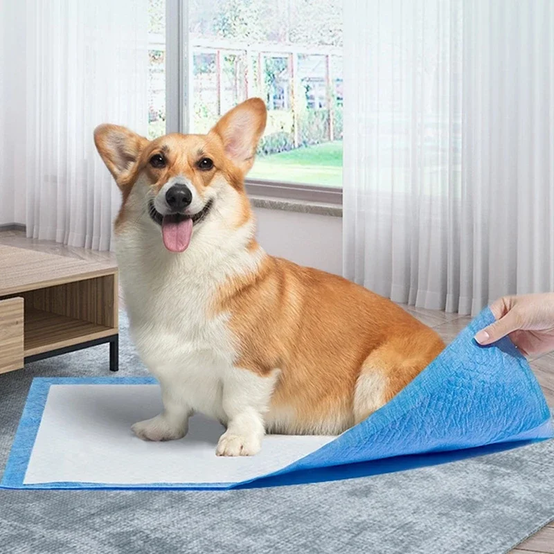 20pcs super absorbent dog training Feifei disposable cushion healthy diaper pad high-quality male dog soft